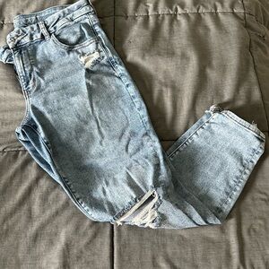 American Eagle Outfitters Blue Ankle Cropped Jeans-Curvy Fit